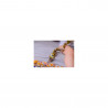 ATTACHE DOUDOU - MOTIF "SERGIO"
